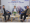 VnExpress: Droppii – Giải Pháp Kinh Doanh Online Thời Đại Số