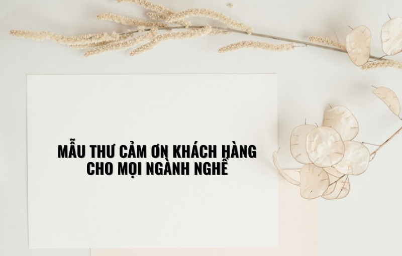 MẪU THƯ CẢM ƠN KHÁCH HÀNG CHO MỌI NGÀNH NGHỀ