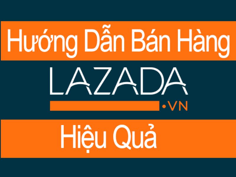 Sở hữu đơn vị vận tải LEX 