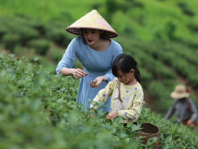 Tổng hợp 93 hình về mô hình trang trại chăn nuôi nhỏ  NEC