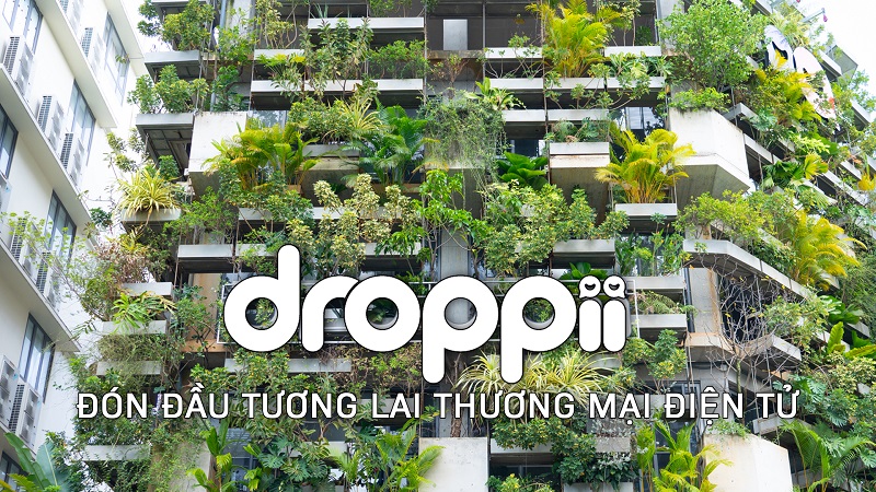 Tầm nhìn và định hướng hoạt động của Droppii