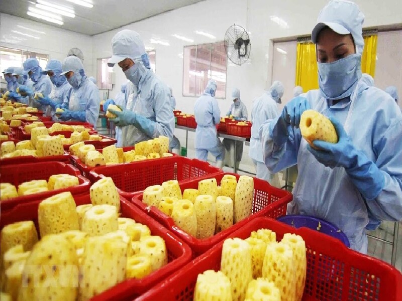 Sản xuất nông sản là một trong những công việc truyền thống và phổ biến nhất tại quê hương