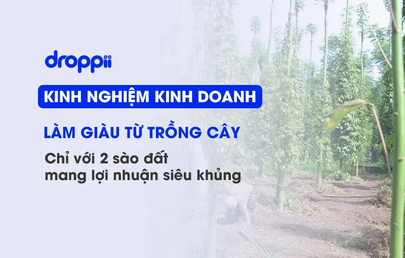 lam-giau-tu-trong-cay-tren-2-sao-dat